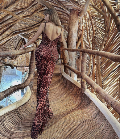 Leopard Beach Dress [3]
