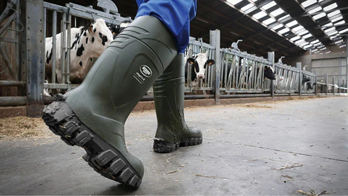 Confort si siguranta cu cizmele de protectie pentru agricultura Bekina Boots din NEOTANE!