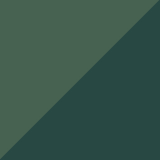 Verde/Verde inchis
