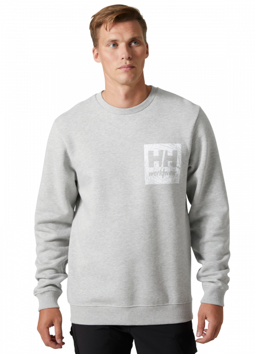 Bluza Helly Hansen HHWW Graphic [3]