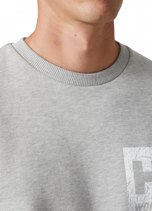 Bluza Helly Hansen HHWW Graphic [6]