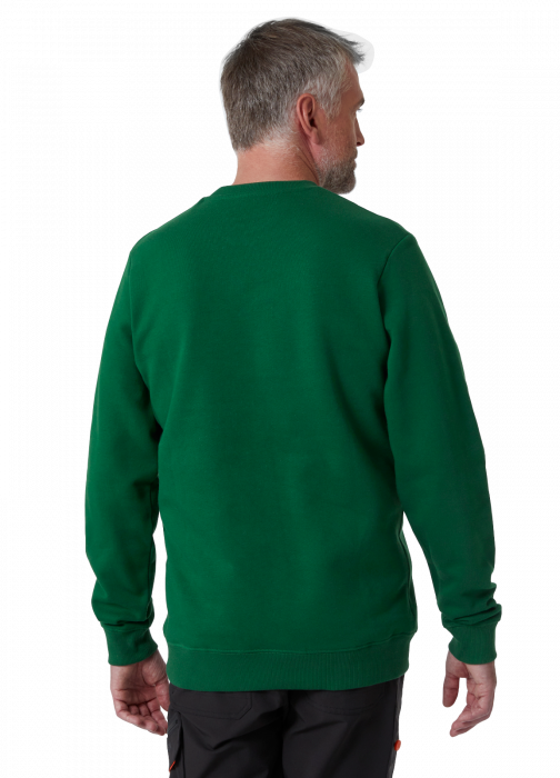 Bluza Helly Hansen HHWW Graphic [4]