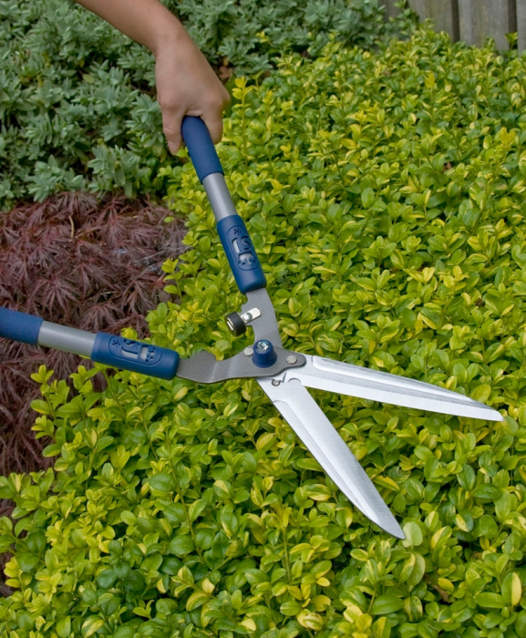 Foarfeca gard viu cu lama otel carbon placata cu crom, Spear & Jackson Razorsharp Active [3]