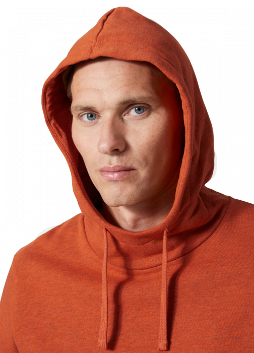 Hanorac cu gluga Helly Hansen HHWW Graphic [6]