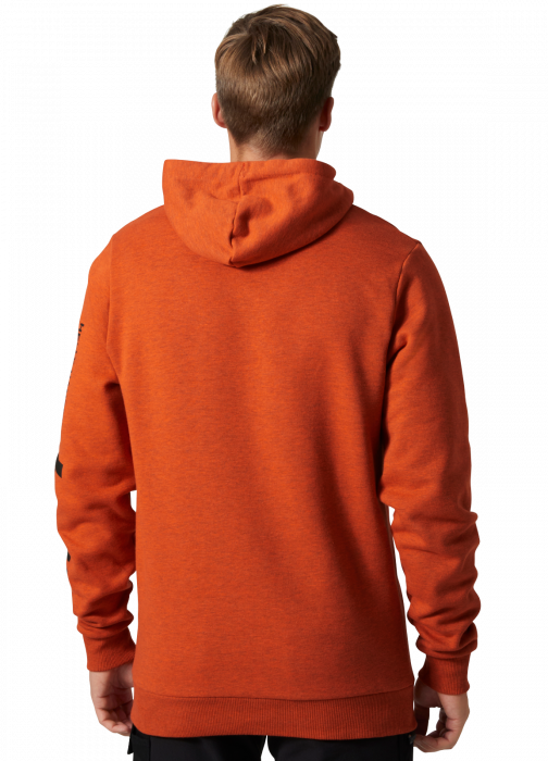 Hanorac cu gluga Helly Hansen HHWW Graphic [4]