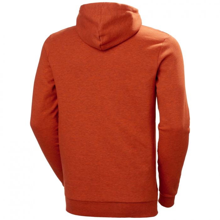 Hanorac cu gluga Helly Hansen HHWW Graphic [2]