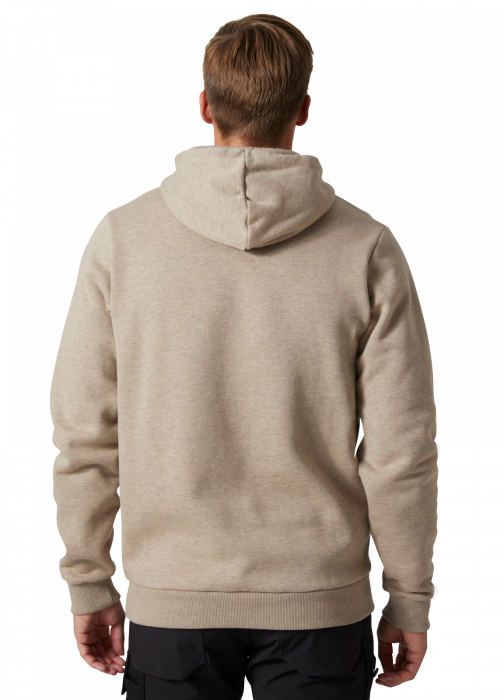 Hanorac cu gluga Helly Hansen HHWW Graphic [4]