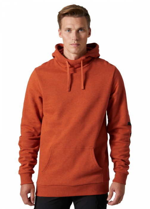 Hanorac cu gluga Helly Hansen HHWW Graphic [3]