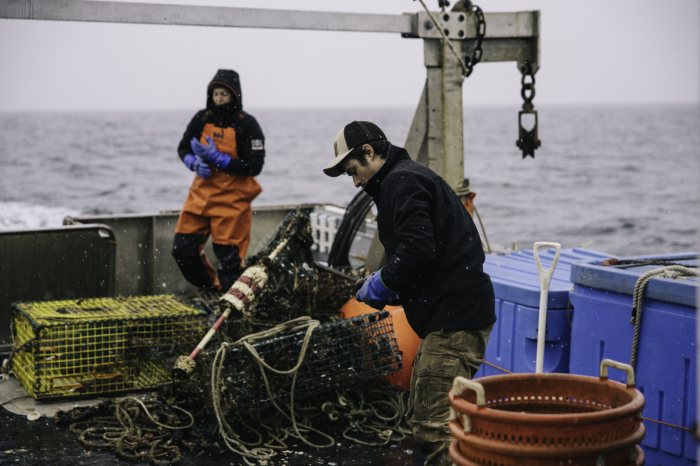 Jacheta Helly Hansen Kensington Softshell [9]