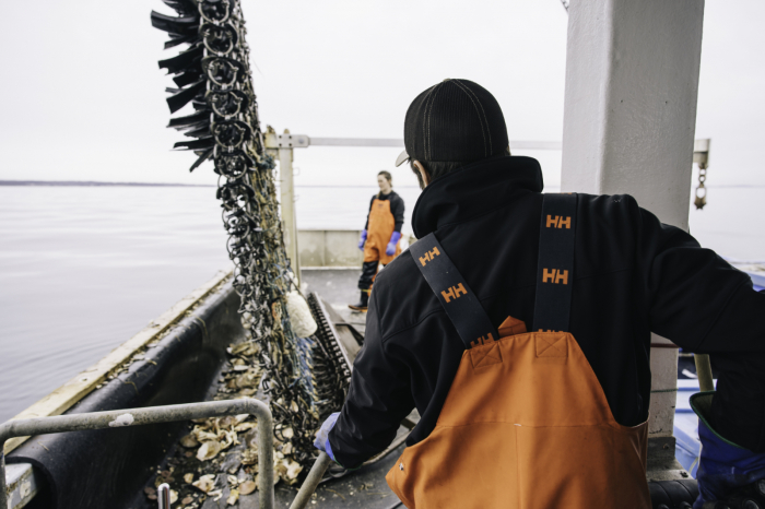 Jacheta Helly Hansen Kensington Softshell [6]