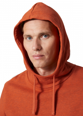 Hanorac cu gluga Helly Hansen HHWW Graphic [5]