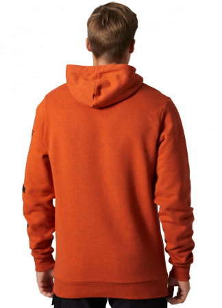 Hanorac cu gluga Helly Hansen HHWW Graphic [3]