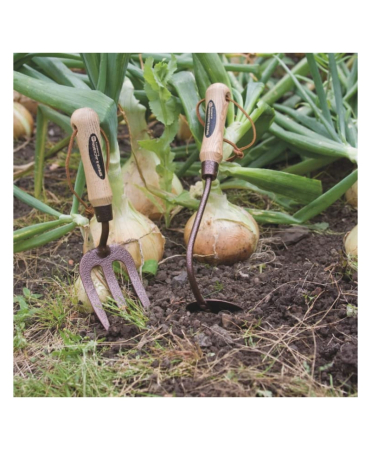 Set gradinarit cadou cu trei piese cu lame otel carbon vopsite, manere lemn, Spear & Jackson Elements [6]