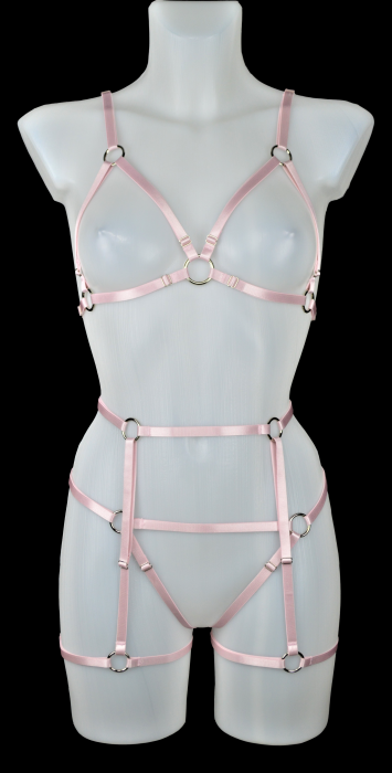 Set Simple Harness Pink3-V [1]