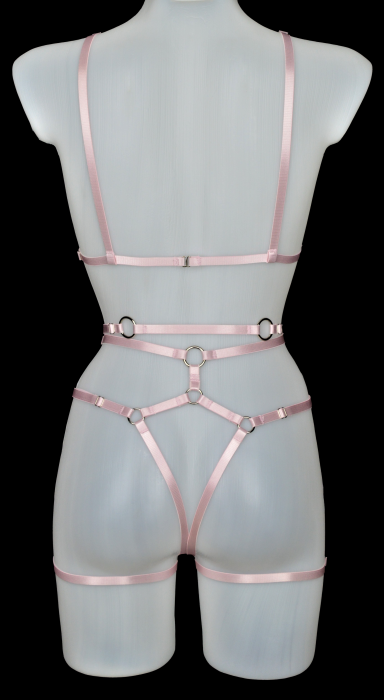 Set Simple Harness Pink R-3piese [2]