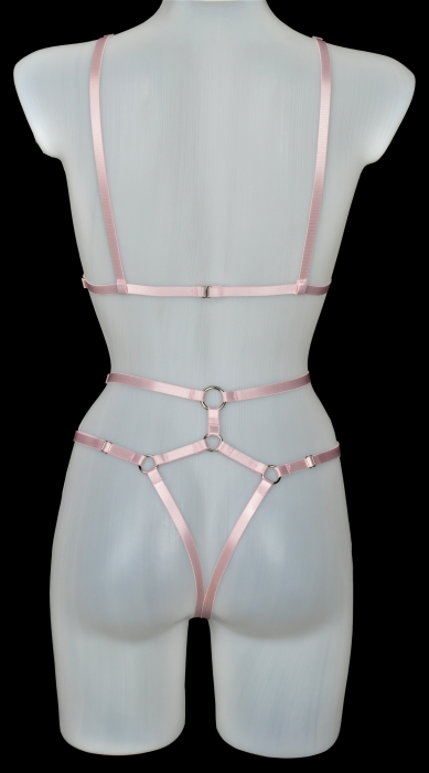 Set Simple Harness Pink R -2PIESE [2]