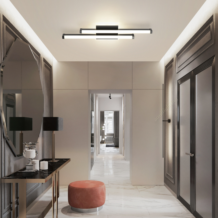 Plafoniera Led 44W 3 tipuri de lumina Negru [4]
