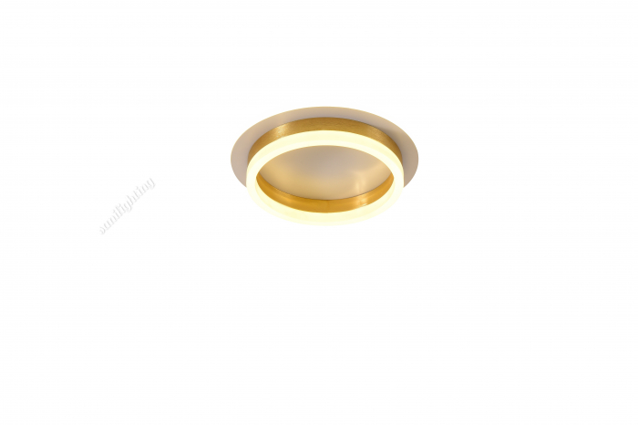 Plafoniera Led Cerc 50W, Aurie, 3 tipuri de lumina 3000K/4000K/6500K [4]