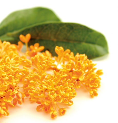 Aires Osmanthus, Odorizant Ambiental 750 ml [2]