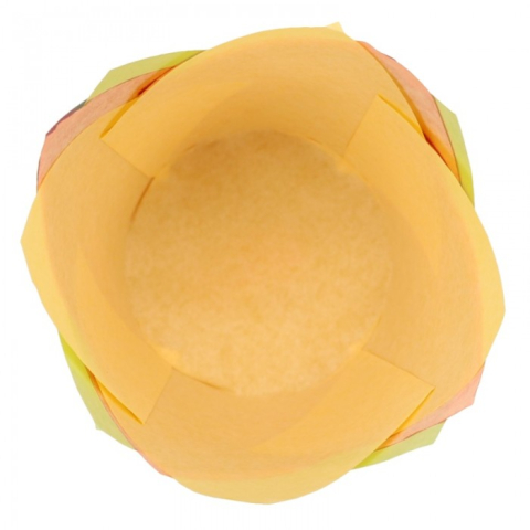 Chese Tulip MIX 5 Culori, D50XH55-85 mm/250 set/ 4 bax [2]