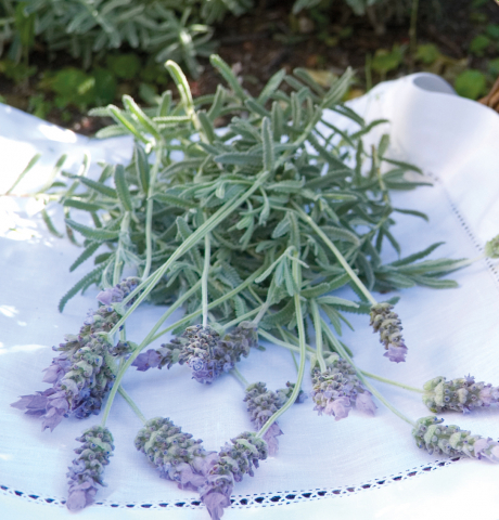 Vinco Lavatrice Lavanda, Detergent lichid complet 5 kg [2]