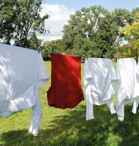 Vinco Lavatrice Muschio Bianco, Detergent lichid complet 5 kg [2]