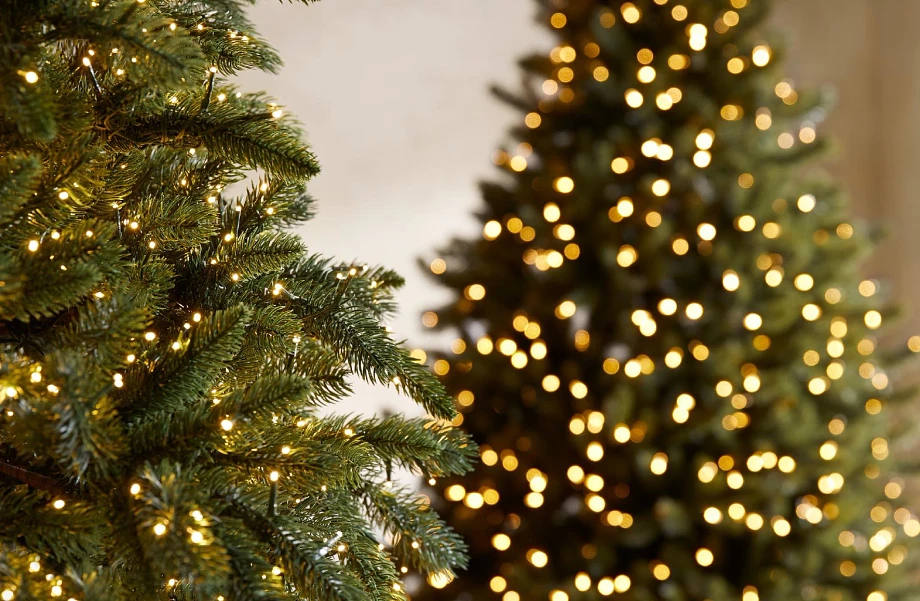 🎄 Cum alegi bradul perfect pentru Anul Nou: ghid complet de la Maxishop