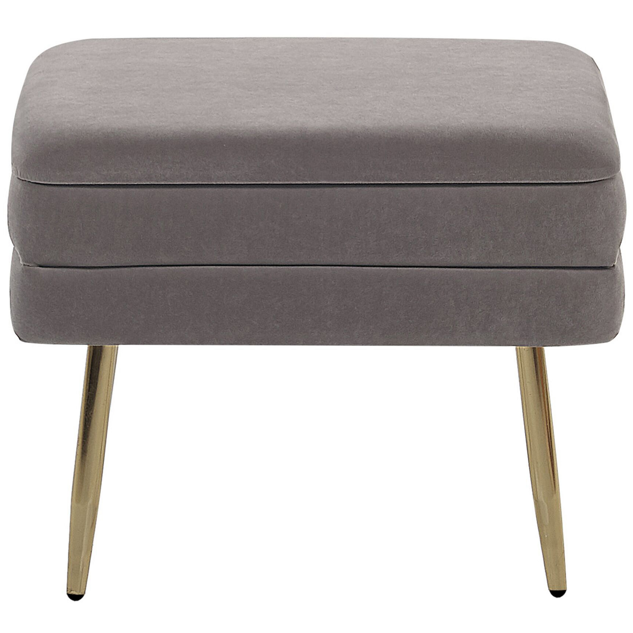 Bancă de depozitare ODESSA Catifea Gri [5]