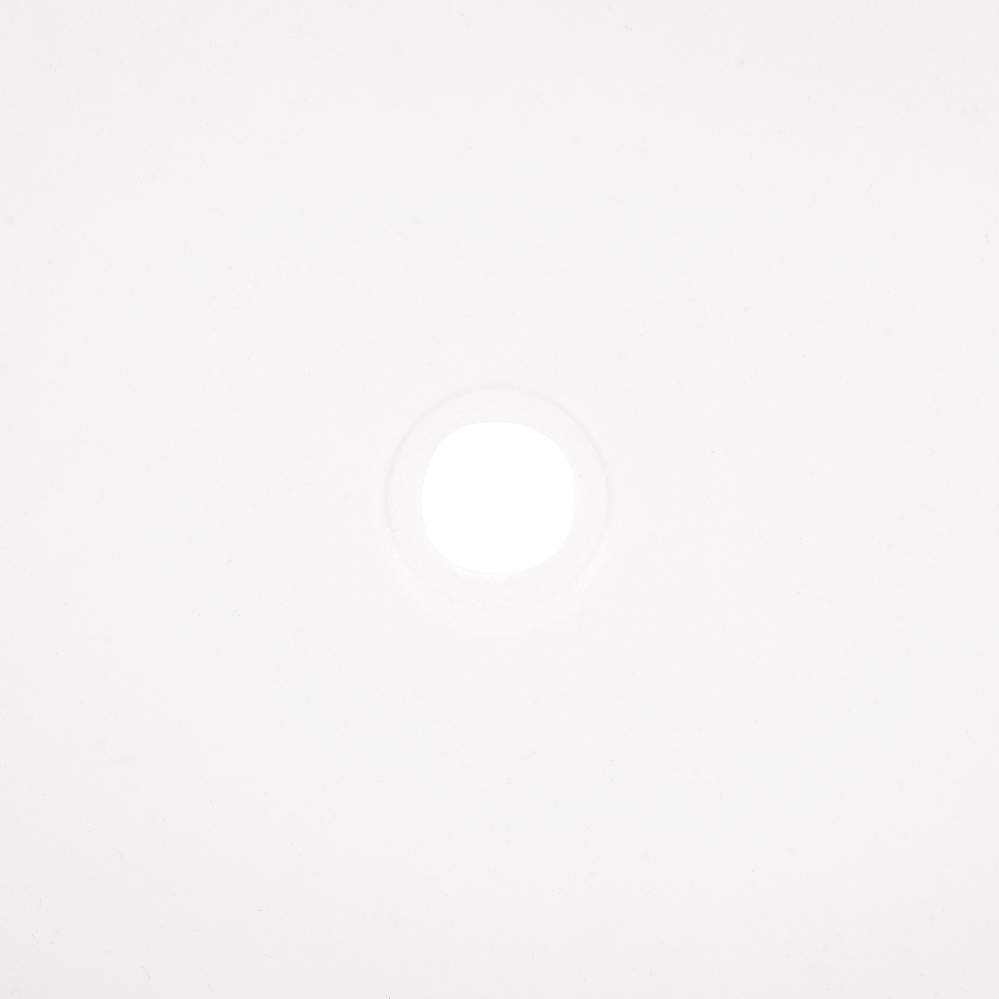 Set de 4 scaune de grădină VIESTE Alb [9]