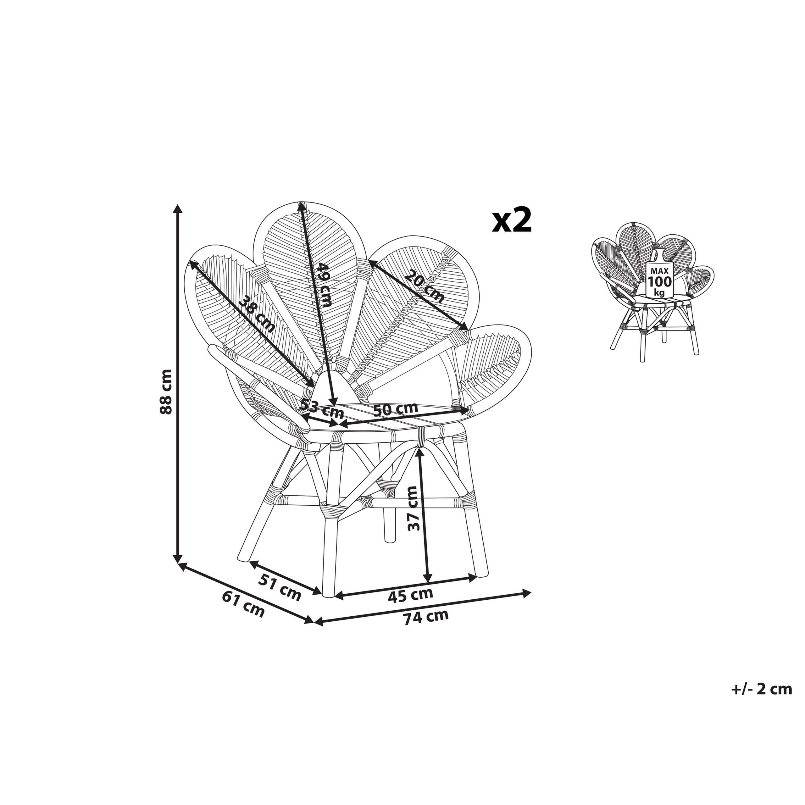 FLORENTINE II Peacock Chair Set of 2 Natural Rattan [3]