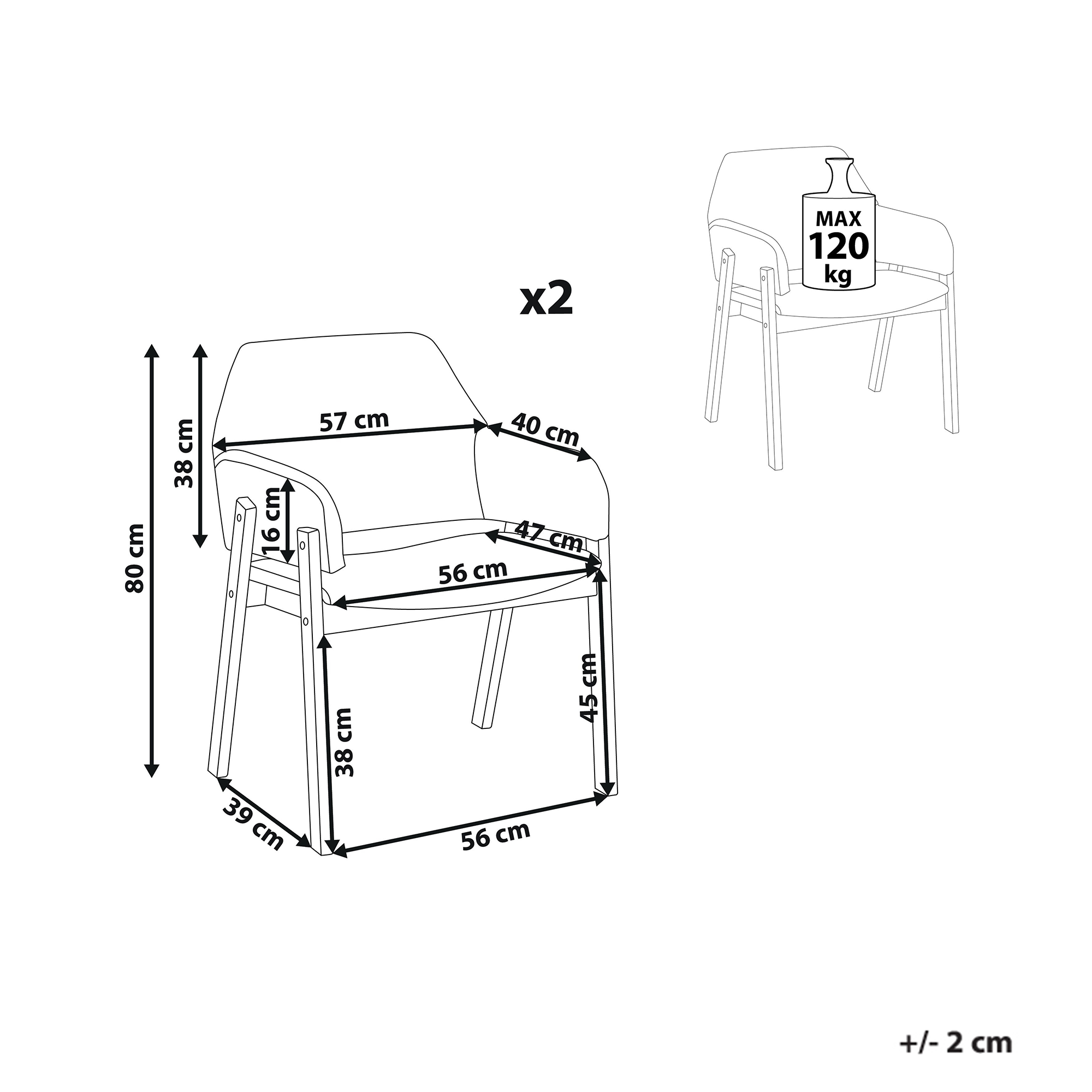 Set de 2 scaune dining ALBION Gri [3]