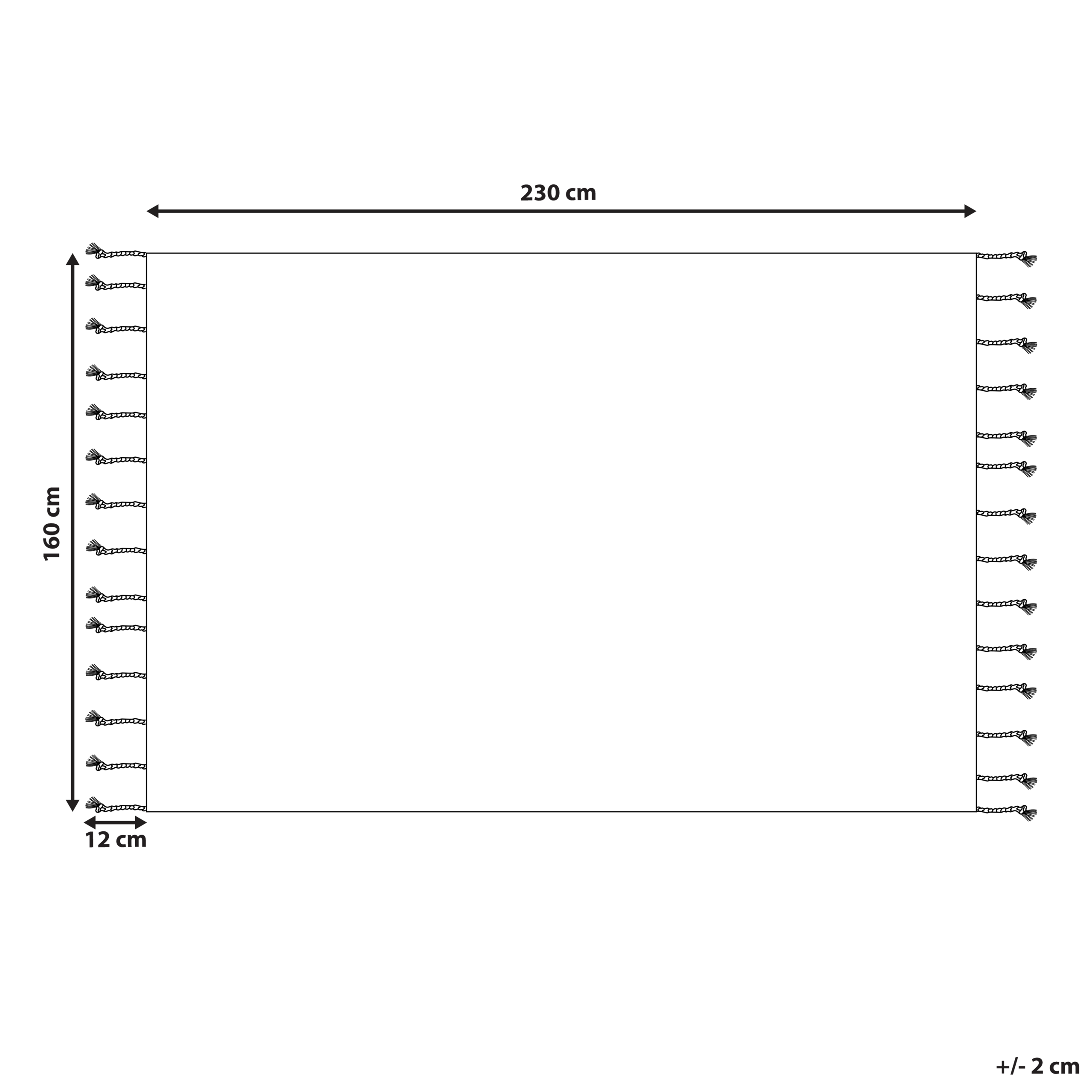 Covor CORUM Bej 160 x 230 cm Bumbac [3]