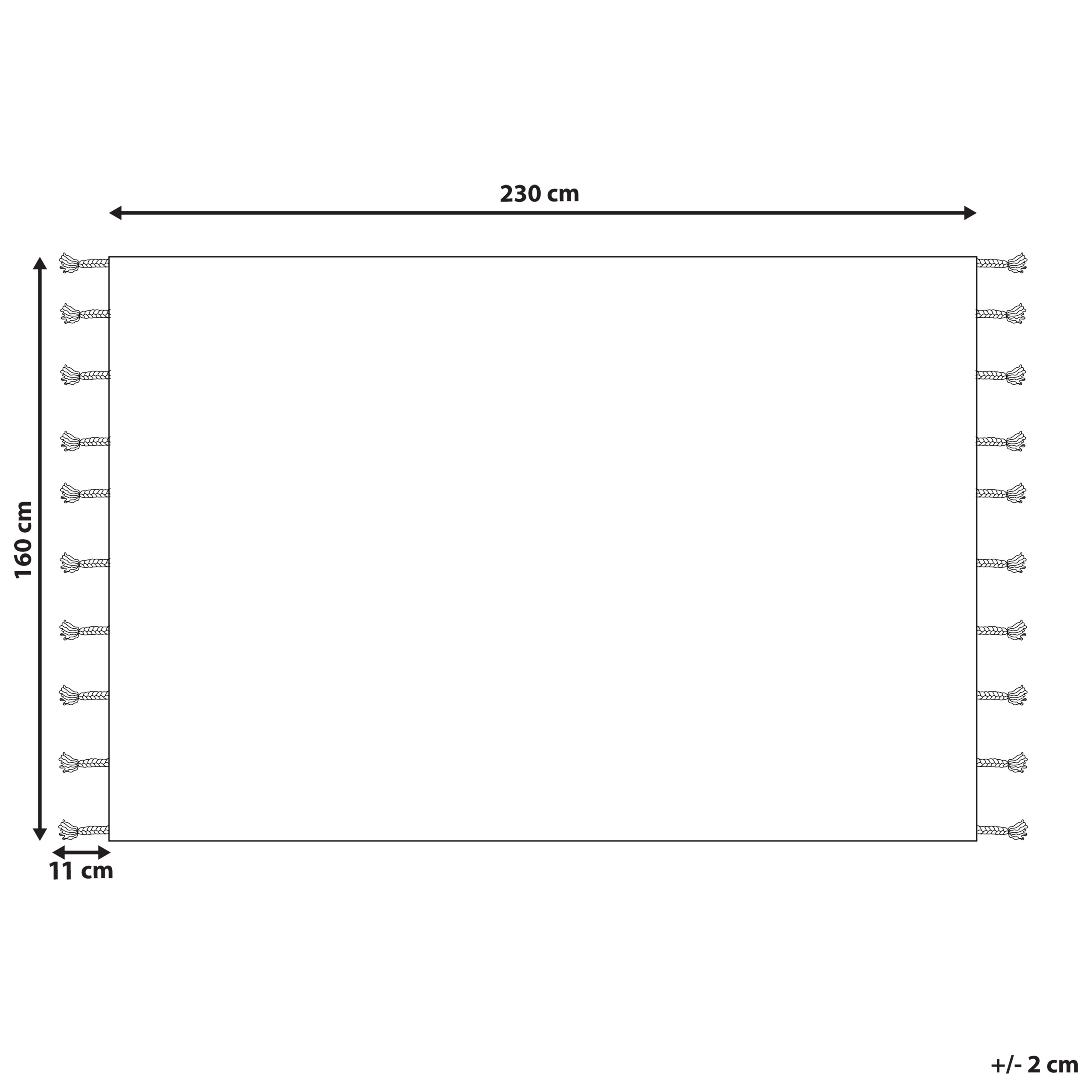 Covor CORUM Negru 160 x 230 cm Bumbac [3]