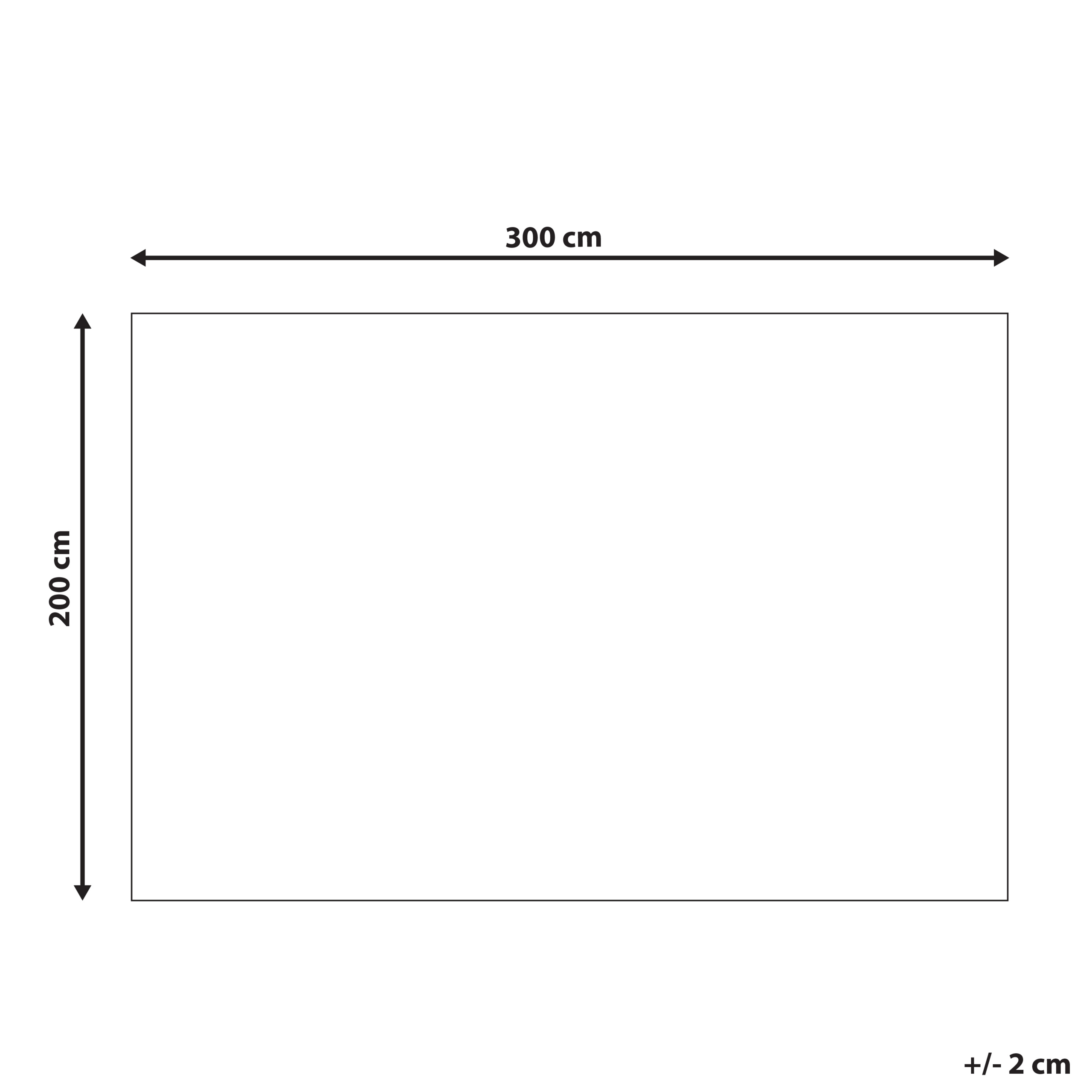 Covor ARIBA Alb Bej 200 x 300 cm Iută [3]