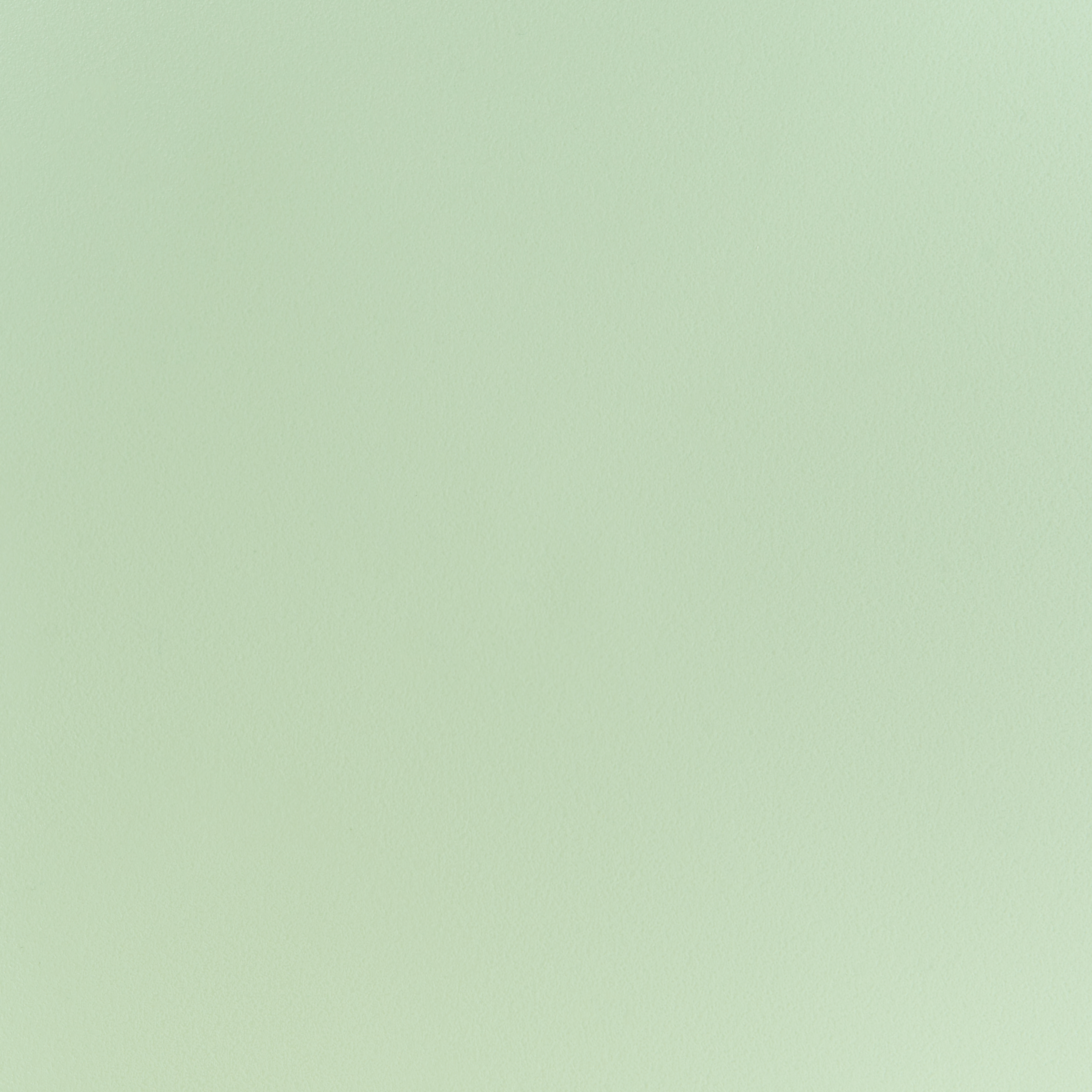 Set of 2 Dining Chairs UTICA Light Green [9]