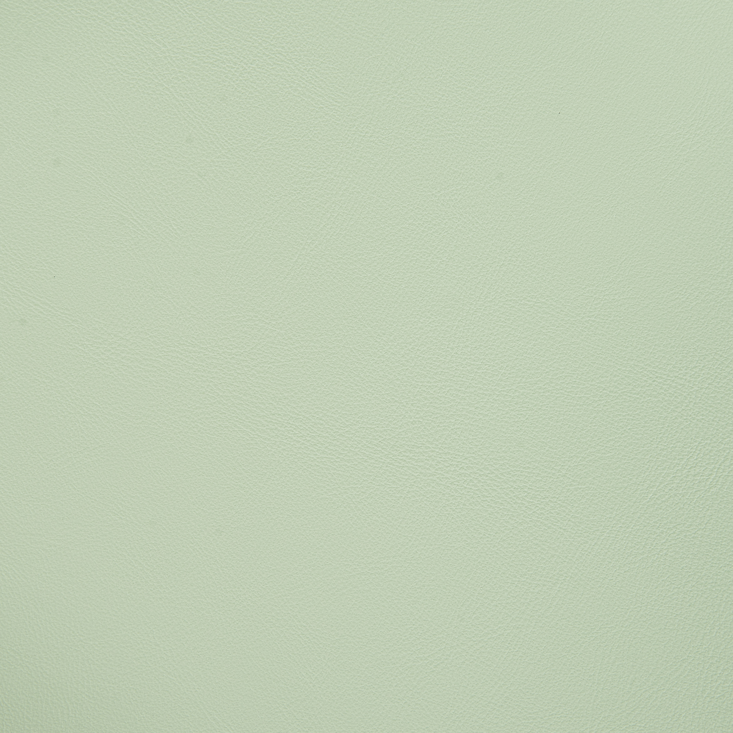 Set of 4 dining chairs MORILL Light Green [9]