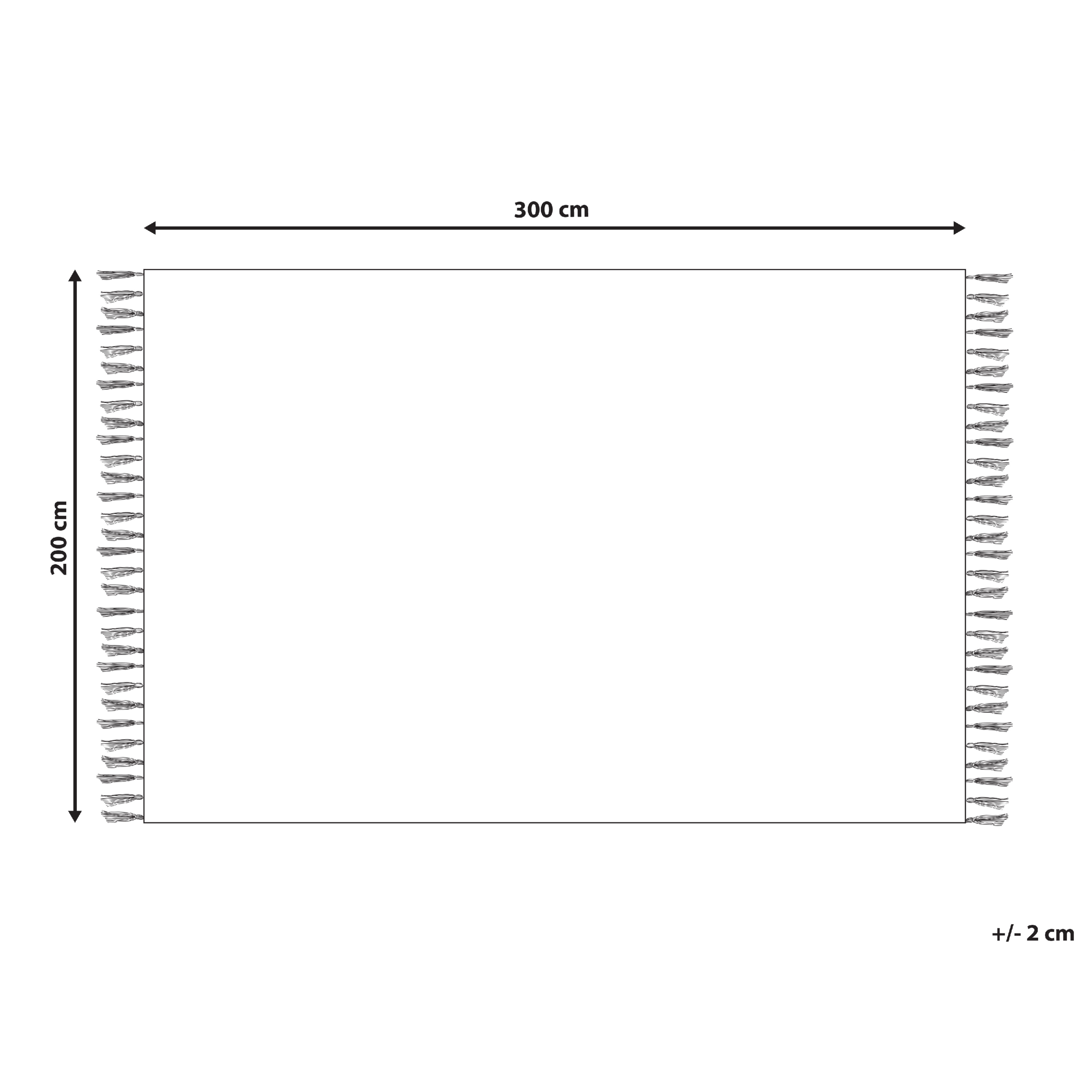 Covor HANDERE Bej 200 x 300 cm Iută [3]