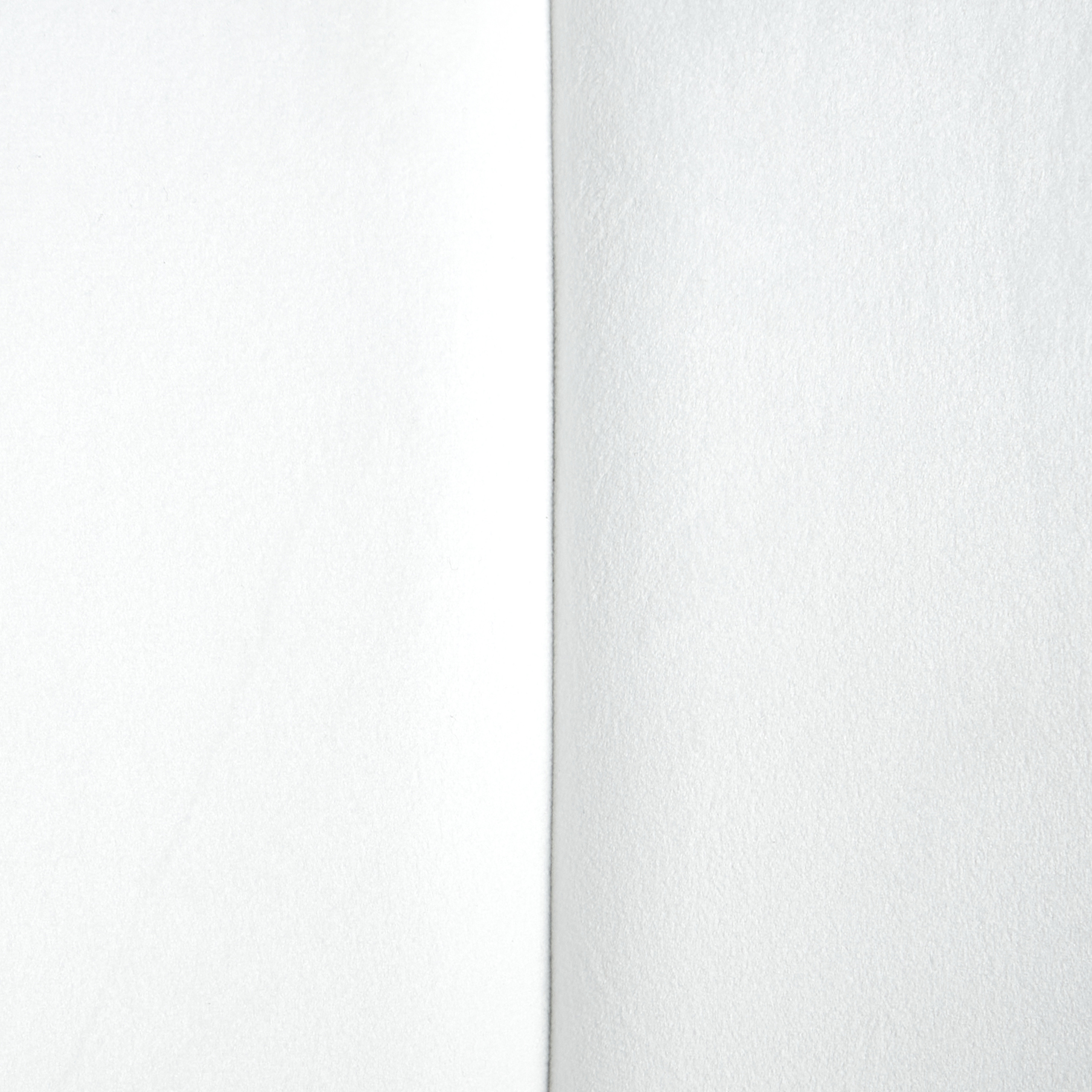 Fotoliu LARVIK II Catifea Alb [9]