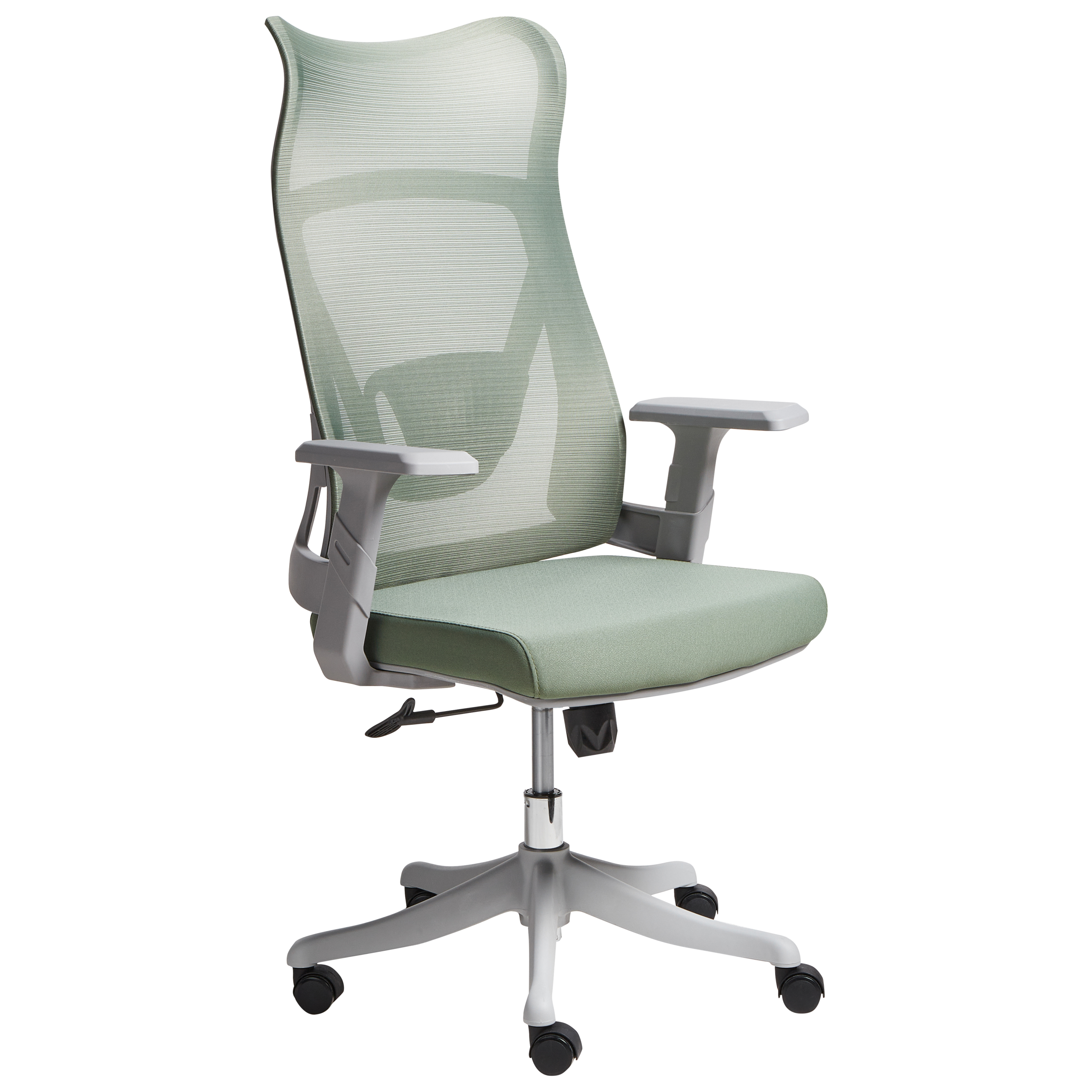 Scaun ergonomic BARD  Verde [2]