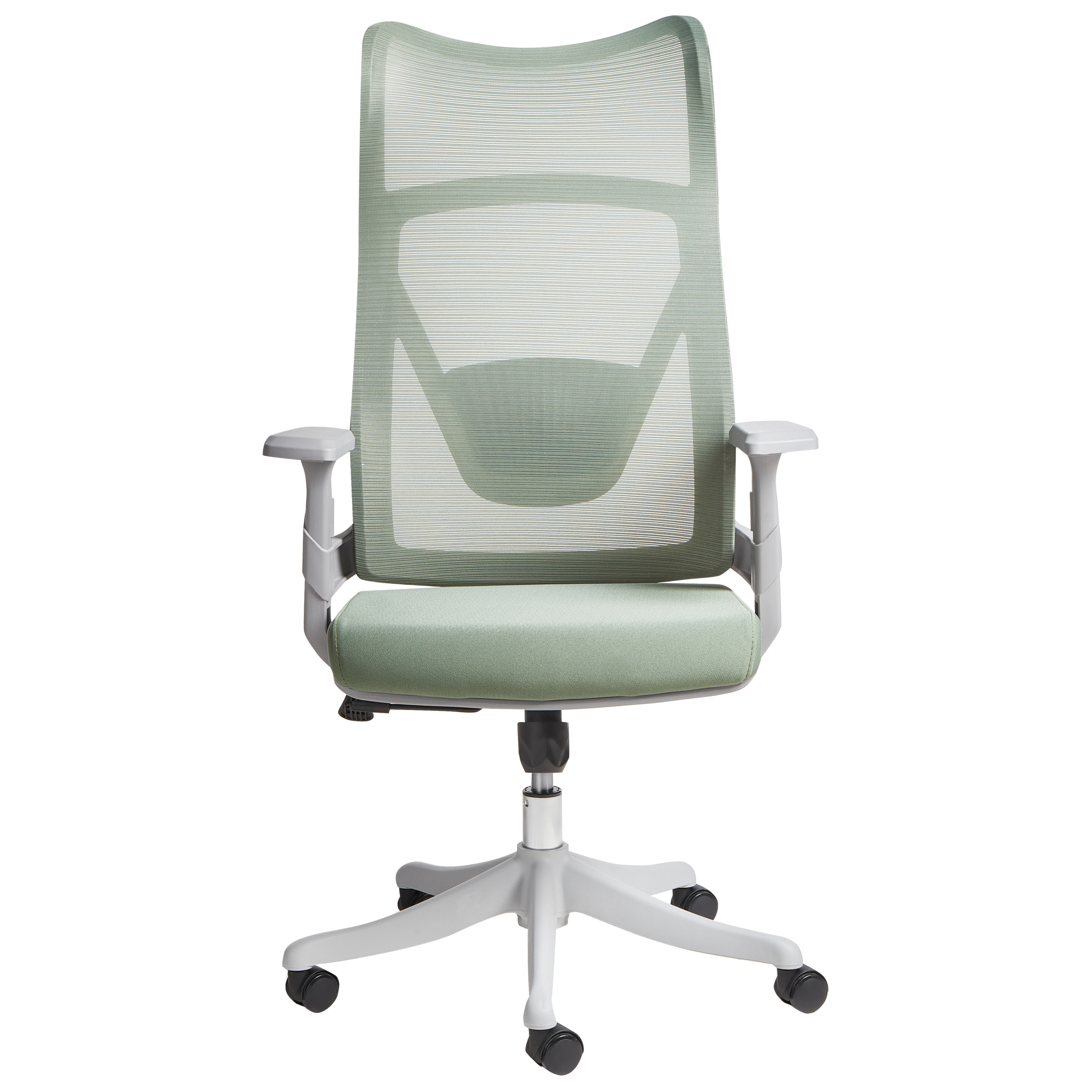 Scaun ergonomic BARD  Verde [4]