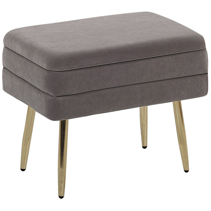Bancă de depozitare ODESSA Catifea Gri [2]