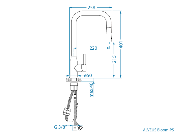 BLOOM ANTHRACITE [3]