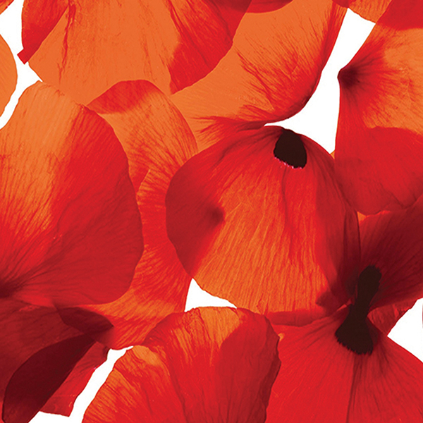 Chiuveta sticla Crystalix 10 personalizat stanga [5]