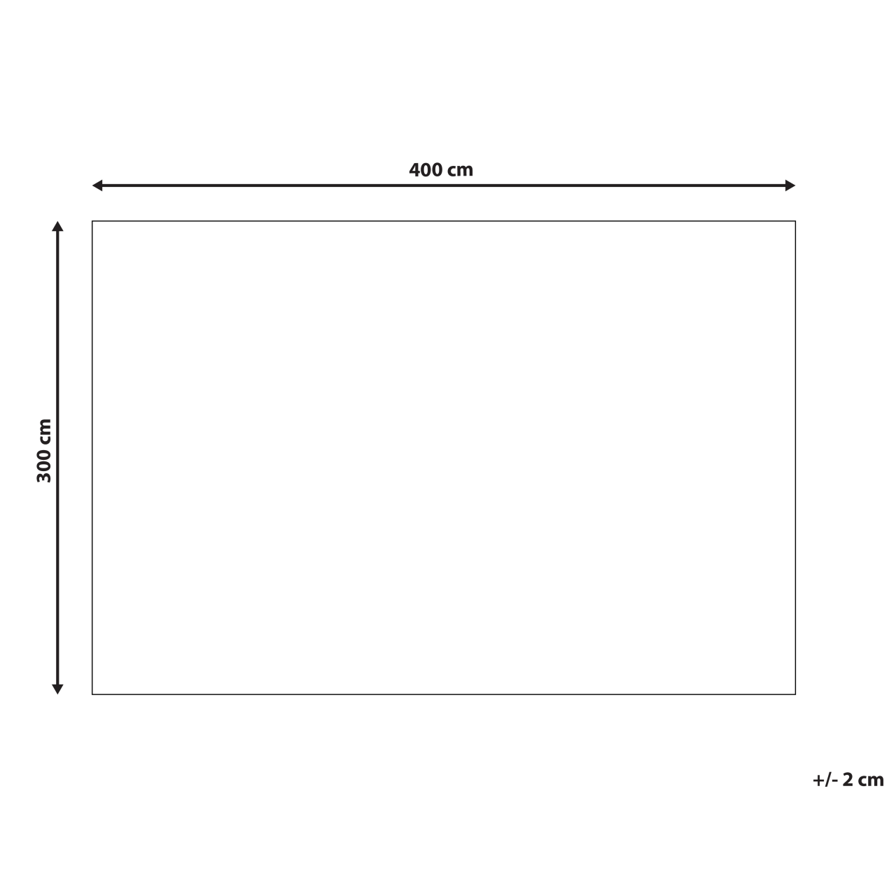 Covor BARKHAN Bej 300 x 400 cm Bumbac [3]