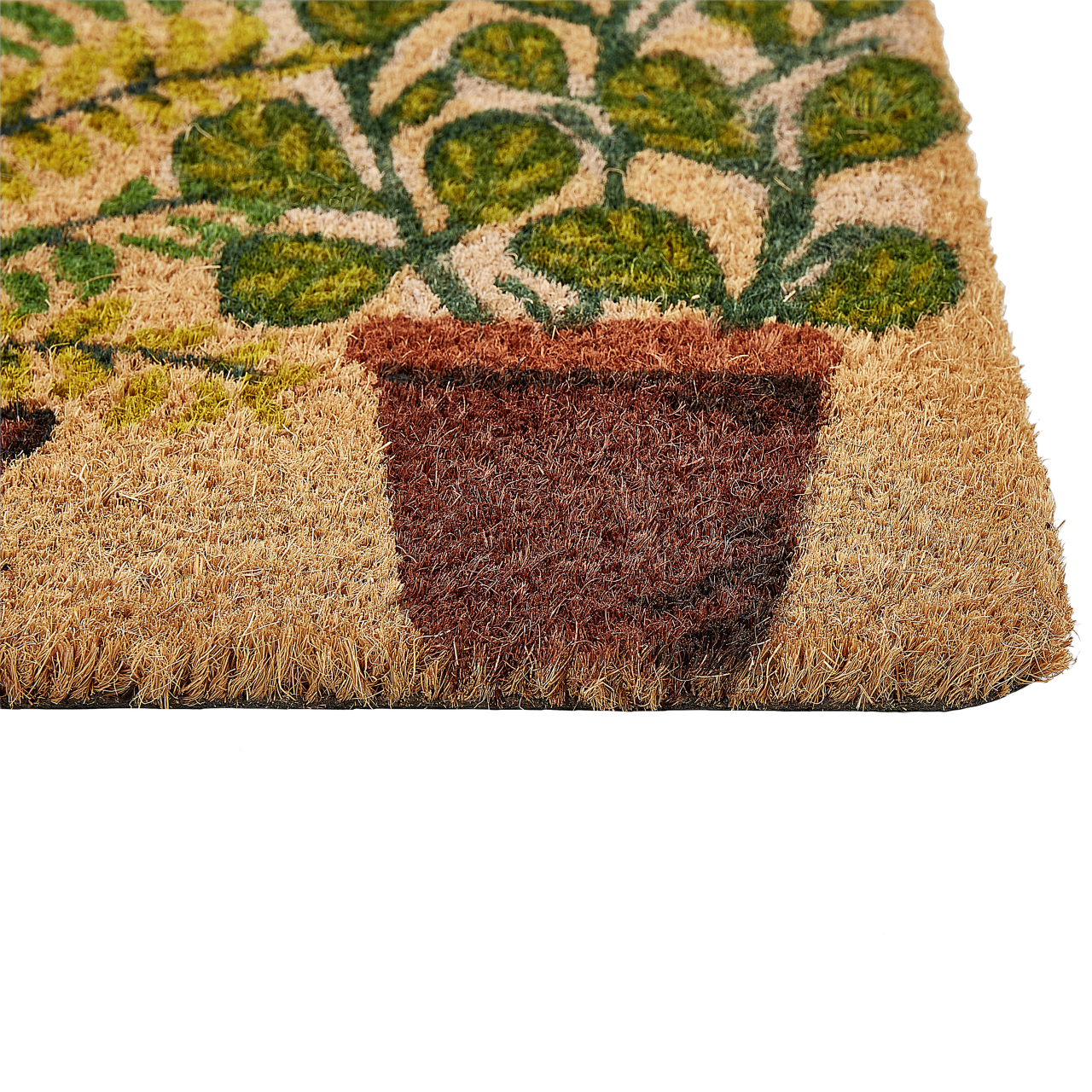 Entrance mat ANAMUDI Natural 40 x 60 cm Coconut fiber [5]