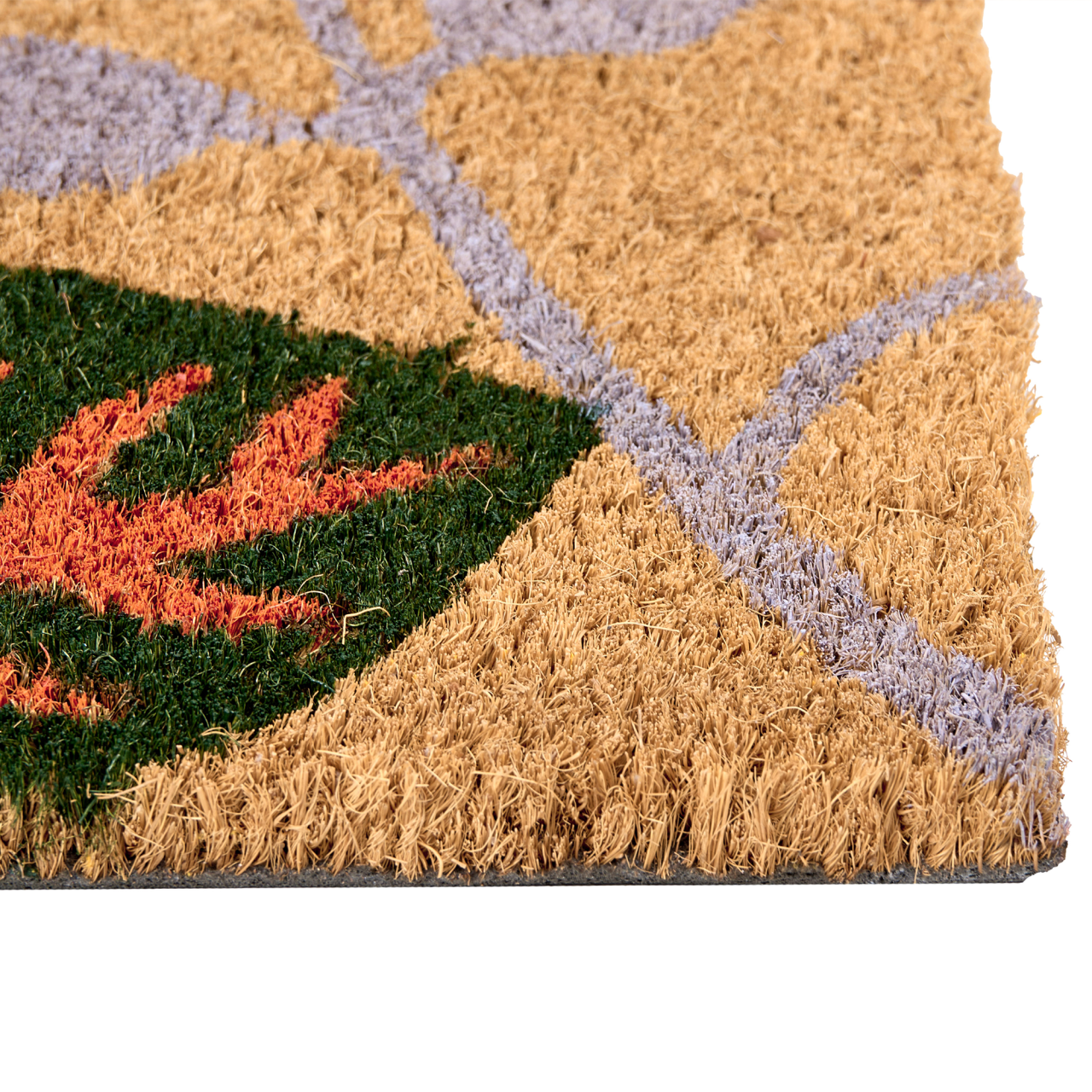 Covor intrare DAGATAN Multicolor 60 x 90 cm Frunză Fibră de nucă de cocos [5]