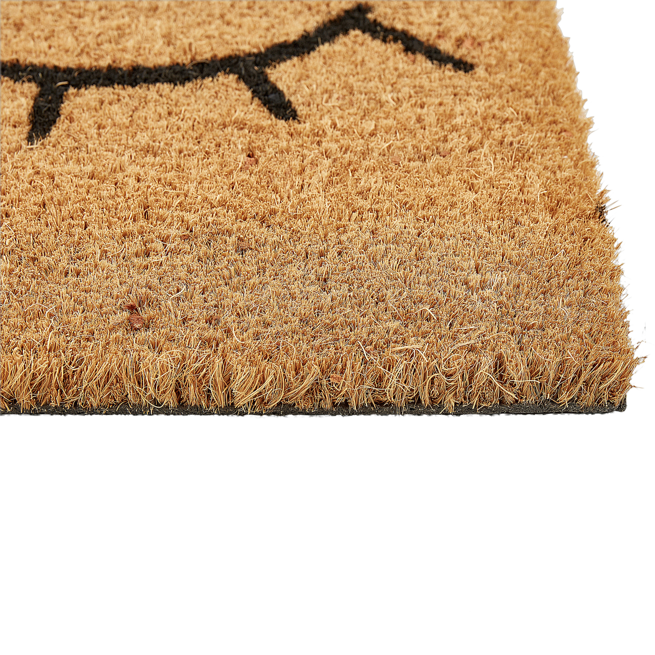 Covor intrare TAPULAO Natural 40 x 60 cm Fibră de nucă de cocos [5]