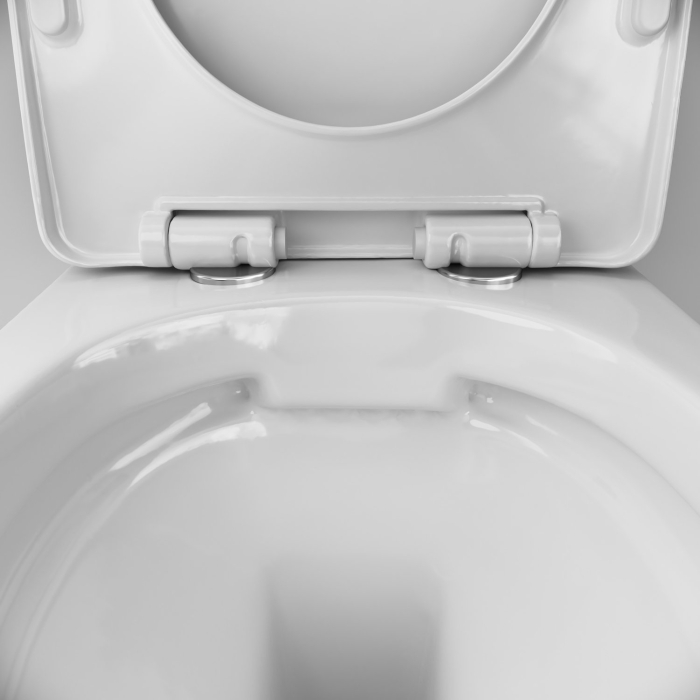 IIS90251.XB1701 Installation with key Pro S chrome with wall-hung toilet X-Joy S with seat [9]