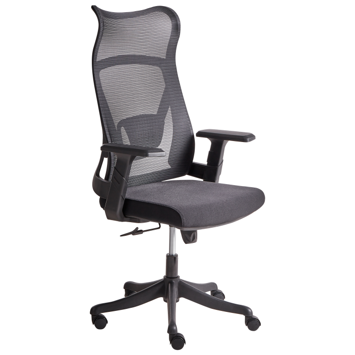 Scaun ergonomic BARD  Negru [2]