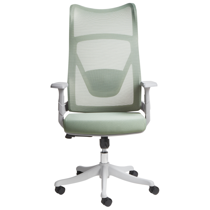 Scaun ergonomic BARD  Verde [4]